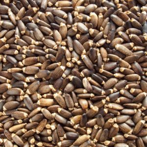 CARDO MARIANO SEMILLA BL 1KG