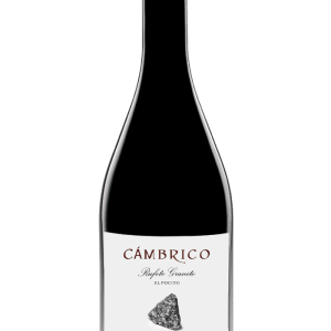 Cámbrico Rufete El Pocito