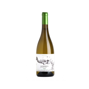 VINO BLANCO Sotavento Sauvignon