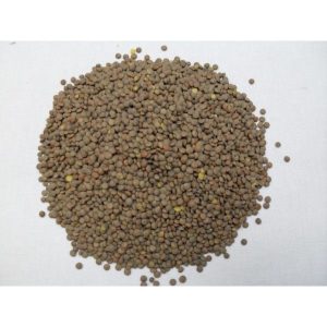 Lentejas Pardinas – Legumbres