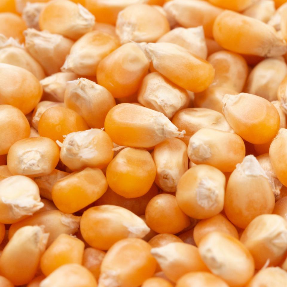 MAÍZ ROSETERO PALOMITAS BL 1KG