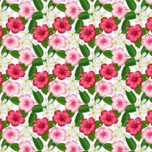 Impresión comestible Flores hibiscus