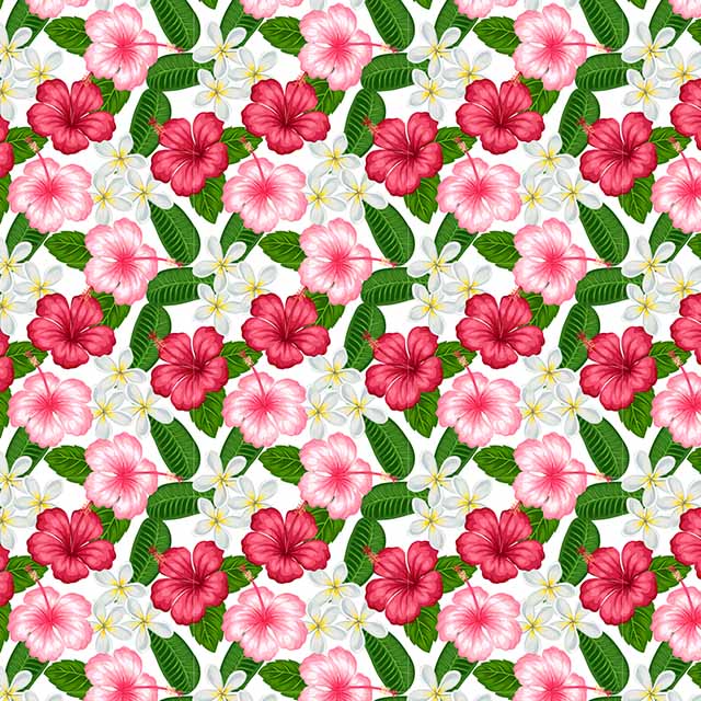 Impresión comestible Flores hibiscus - Imagen 2