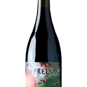 Prelvm Abejas Alfareras