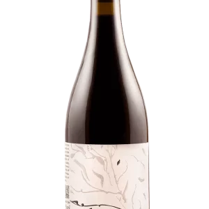 Puerta del Viento Mencía 2023