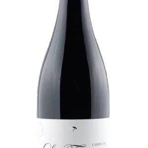 Camino de la Torraza