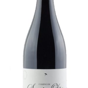 Camino de Santa Zita