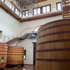 Disfruta de una jornada perfecta de enoturismo en Mont-Reaga