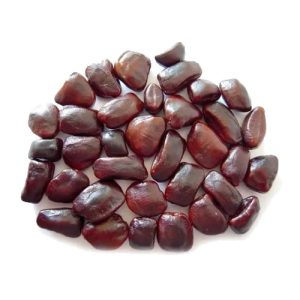 Semilla de Tamarindo x 1 Kg