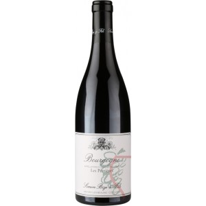 SIMON BIZE BOURGOGNE LES PERRIÈRES 2017 75cl