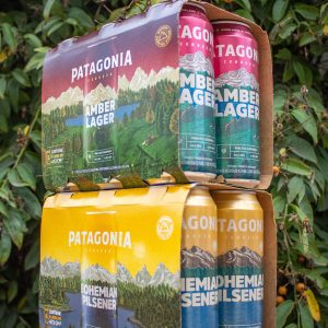 SIX PACK PATAGONIA (VARIEDADES) 410 CC