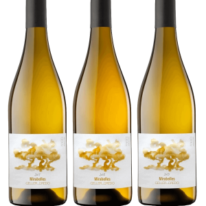 Vertical Mirabelles 17-18-19